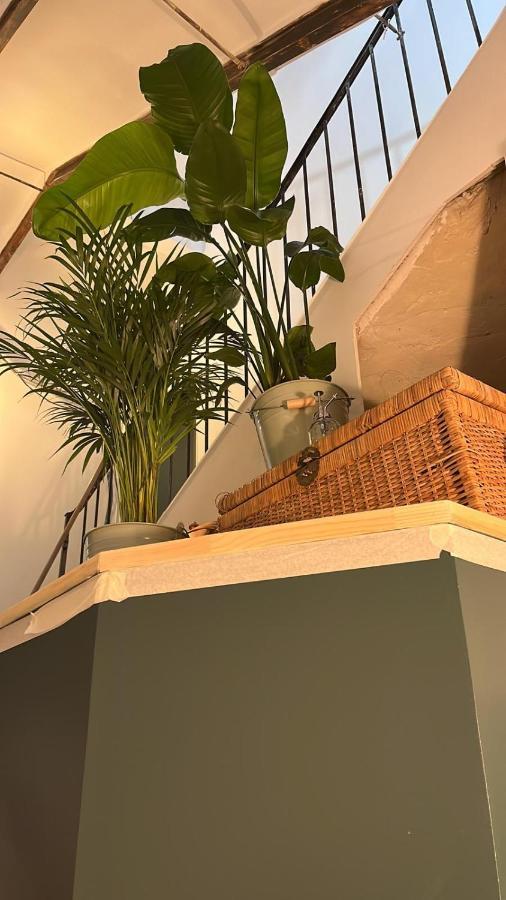 Le Panier De Clarisse Daire Marsilya Dış mekan fotoğraf